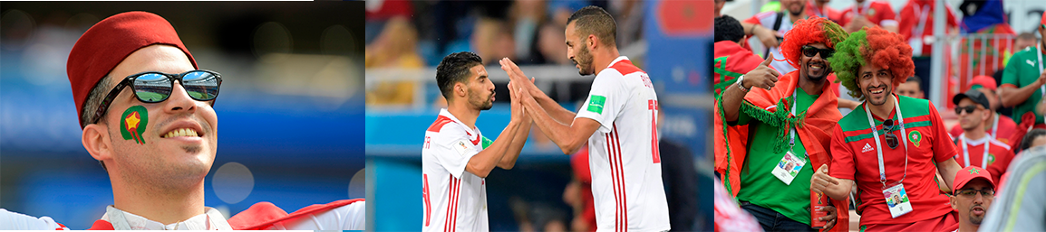 l'energie des lions